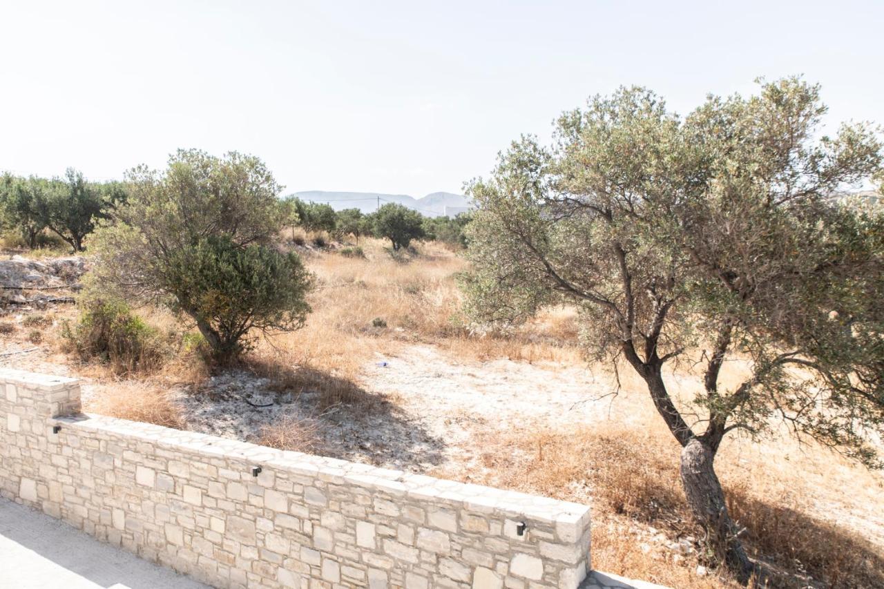 Aeonios Luxury Villa Пицидия Экстерьер фото